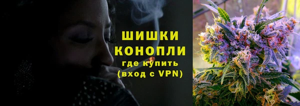 PSILOCYBIN Вязники