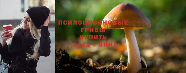 ECSTASY Вяземский