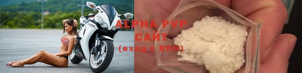 ECSTASY Вяземский