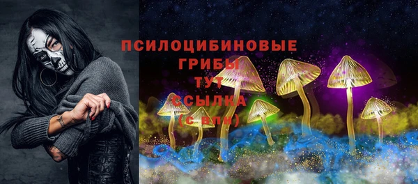 молекула духа Волосово