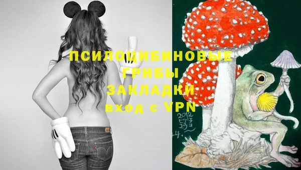 ECSTASY Вяземский