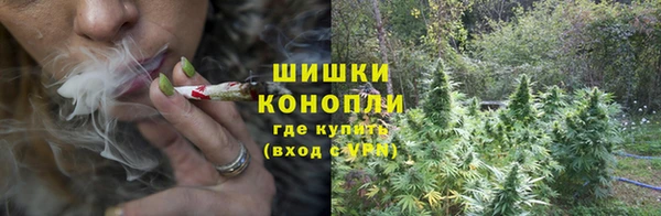 бошки Бронницы