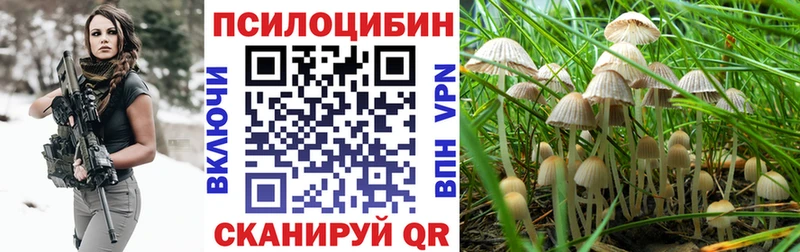 магазин продажи   Десногорск  Галлюциногенные грибы мицелий 